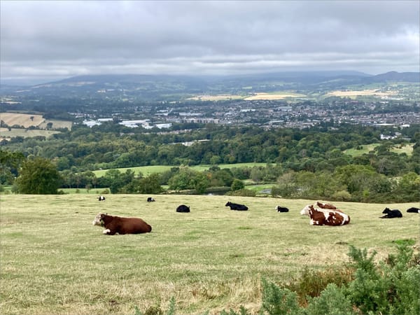 The Better Way To Visit Ireland